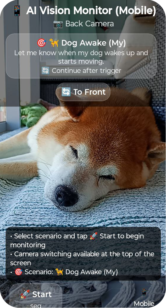 Camera Screen